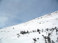 Mt Washington