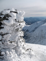 Mt Washington 