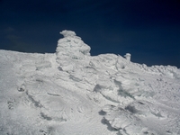 Mt Washington