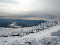 Mt Washington