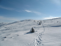 Mt Washington