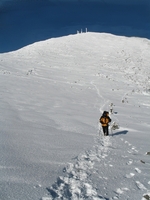 Mt Washington