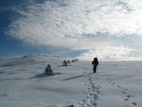 Mt Washington