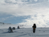 Mt Washington 