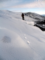 Mt Washington