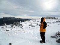 Mt Washington